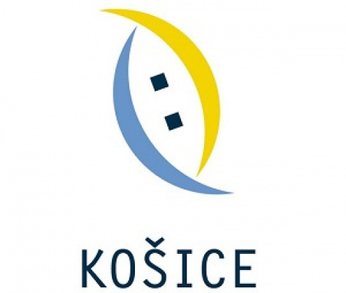 Mesto Košice n. f. 