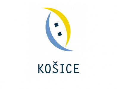 Fond zdravia mesta Košice , neinvestičný fond 